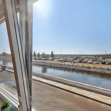 T1 - Salina Ria Aveiro